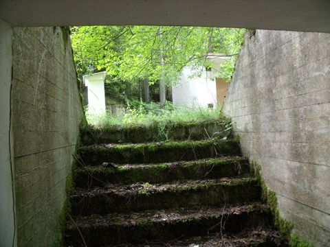 Foto 42